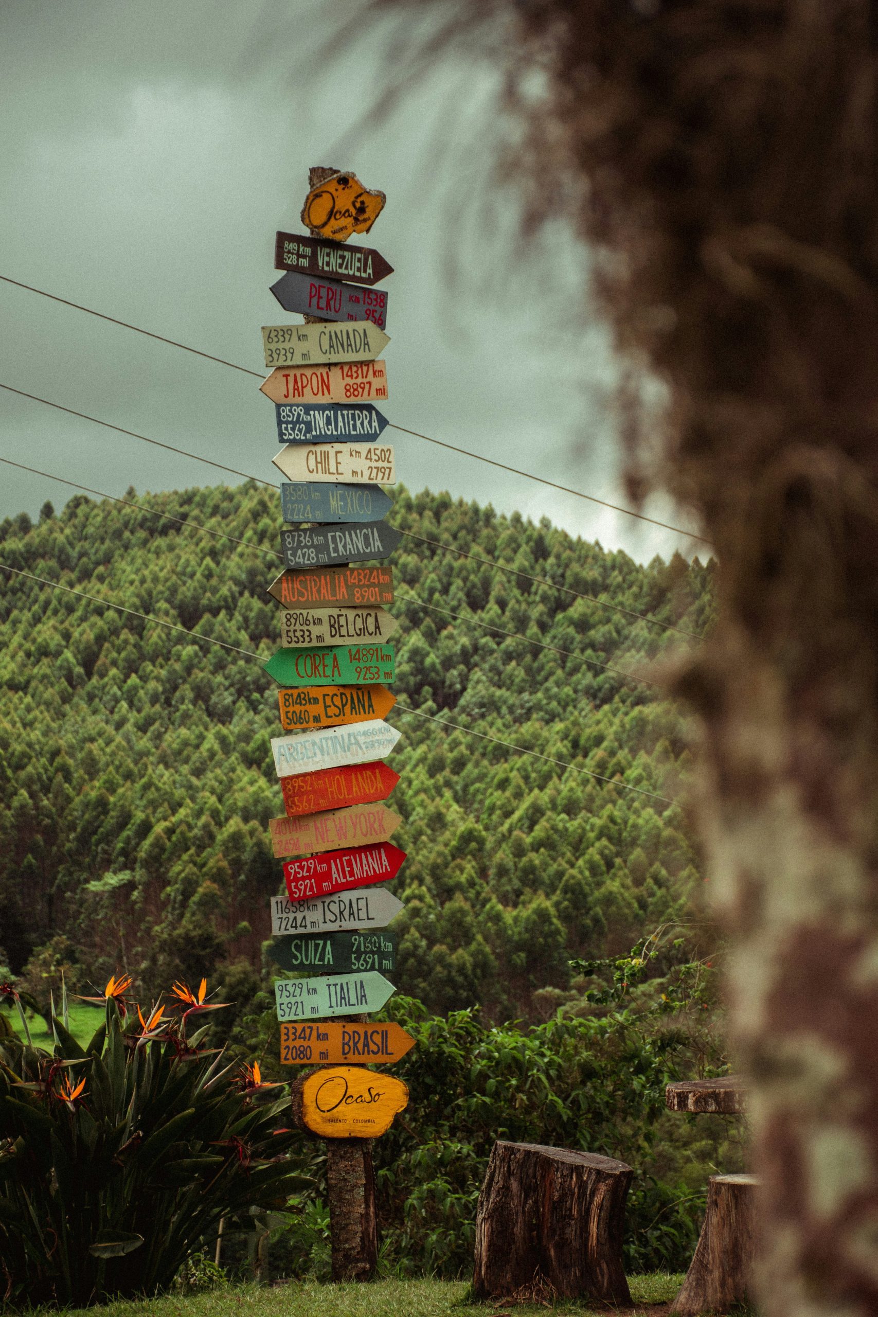 david-restrepo-I9qfONrwtN4-unsplash