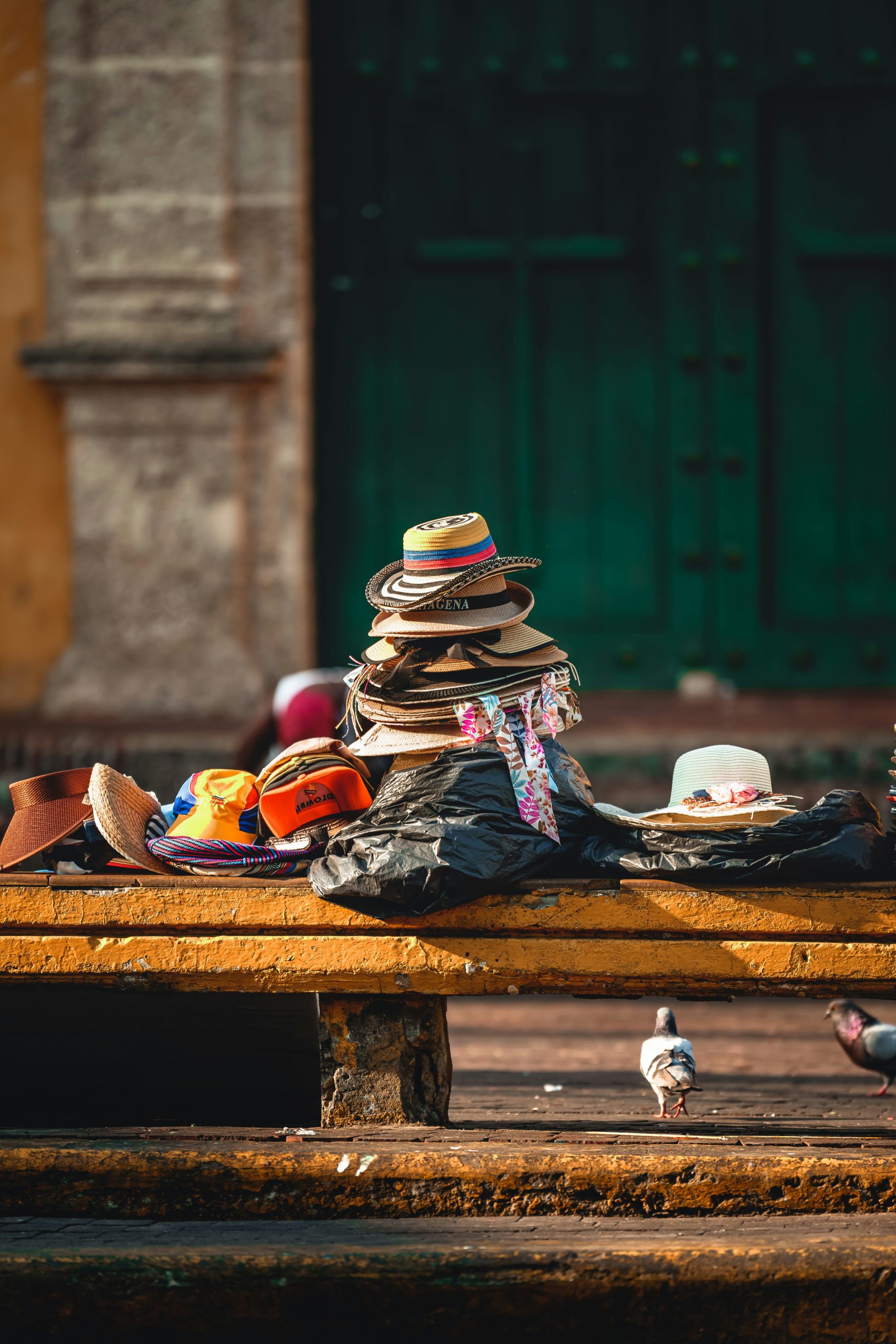 mauro-lima-p6dhzaAzcDE-unsplash